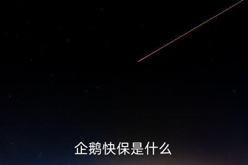 快保保險(xiǎn)是什么公司，企鵝快保是什么