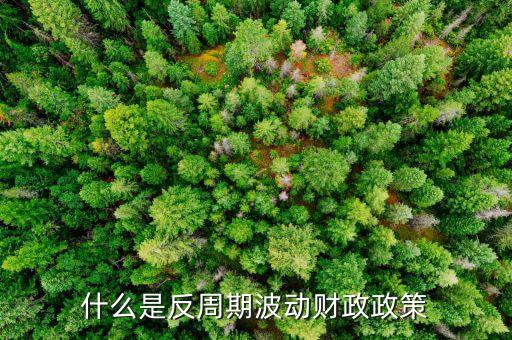 什么逆周期調(diào)控，什么是反周期波動財政政策