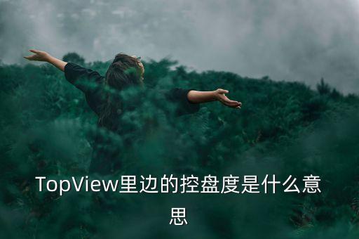 TopView里邊的控盤度是什么意思