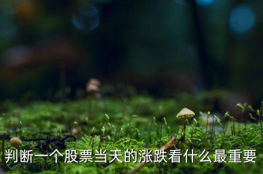 判斷一個(gè)股票當(dāng)天的漲跌看什么最重要