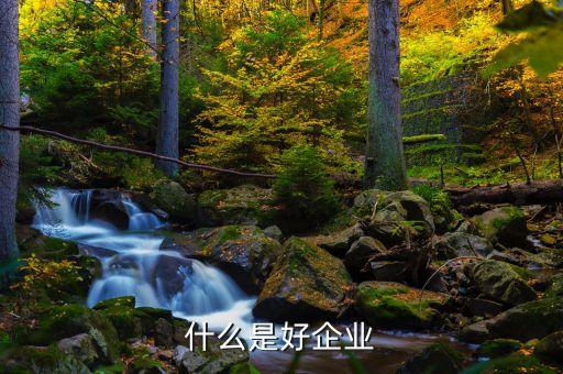 什么是好的公司，昆明有哪些好公司和企業(yè)嗎