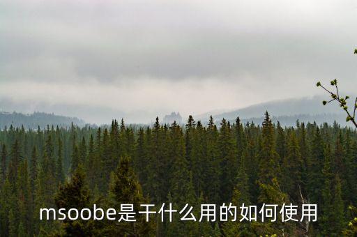 msoobe是干什么用的如何使用