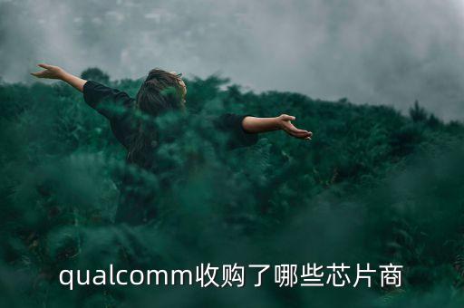 保千里收購什么公司，保千里股票以前叫什么