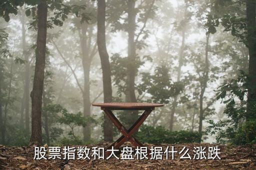 股票指數(shù)和大盤(pán)根據(jù)什么漲跌
