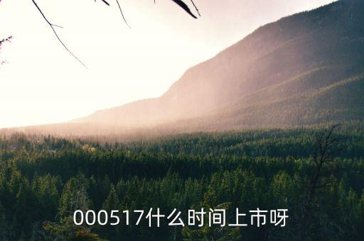 000517什么時(shí)間上市呀
