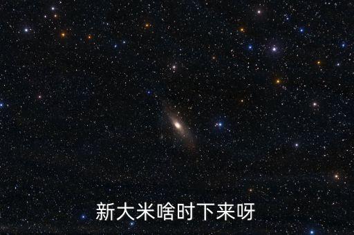 新大米啥時下來呀