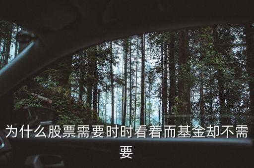 為什么股票需要時時看著而基金卻不需要