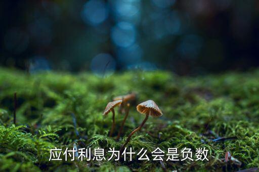 為什么利息支付倍數(shù)為負，為什么貴州茅臺的利息保障倍數(shù)為負
