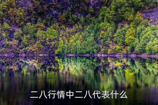 二八行情中二八代表什么