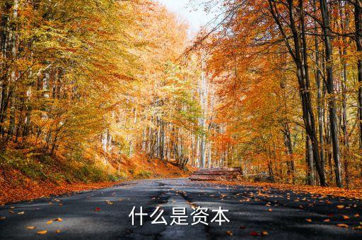 資本貨物是什么，什么是資本