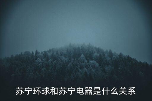 蘇寧與蘇寧環(huán)球什么關系，蘇寧環(huán)球和蘇寧電器是什么關系