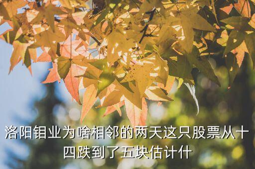 洛陽(yáng)鉬業(yè)為啥相鄰的兩天這只股票從十四跌到了五塊估計(jì)什