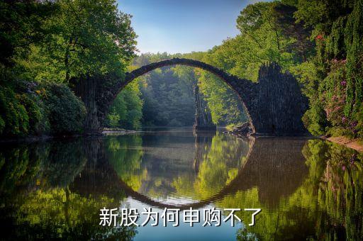 為什么新股不能申購(gòu)，新股為何申購(gòu)不了