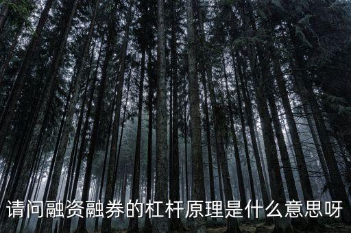 請(qǐng)問(wèn)融資融券的杠桿原理是什么意思呀
