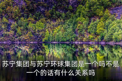 蘇寧集團與蘇寧環(huán)球集團是一個嗎不是一個的話有什么關系嗎