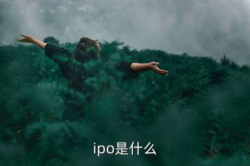 ipo制度是什么，ipo是什么
