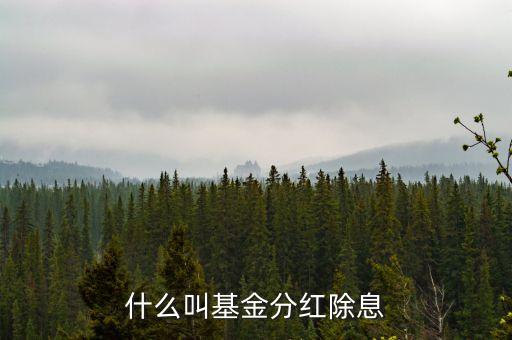基金分紅除權(quán)什么意思，什么叫基金分紅除息
