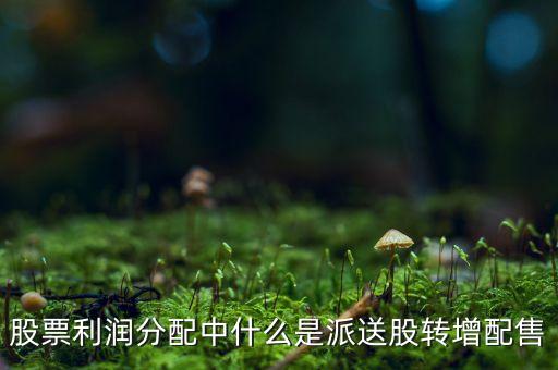 股本分紅里的轉(zhuǎn)增和配送是什么意思，分紅配股還有轉(zhuǎn)增是什么意思