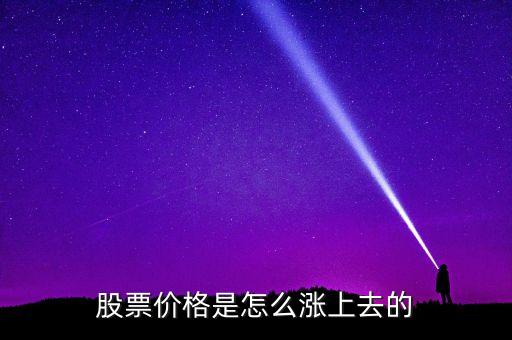 中國(guó)大冶優(yōu)先股是什么，中國(guó)鋁業(yè)是國(guó)有企業(yè)嗎