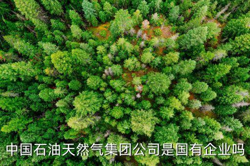 中油燃氣在中國屬于什么級別的天然氣單位，濟寧中油天然氣利用有限公司屬于國企么