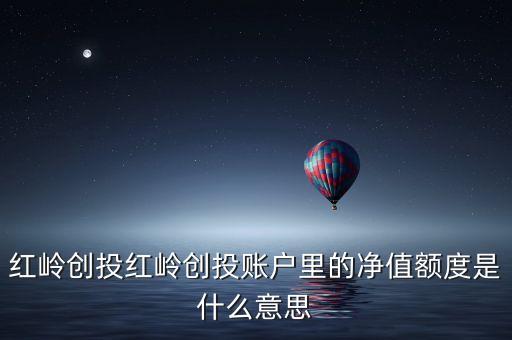 為什么紅嶺創(chuàng)投只有凈值標(biāo)，紅嶺創(chuàng)投紅嶺創(chuàng)投賬戶里的凈值額度是什么意思