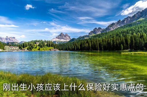 寶寶便宜實惠的保險有什么，剛出生小孩應(yīng)該上什么保險好實惠點的