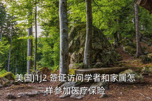 美國J1J2 簽證訪問學者和家屬怎樣參加醫(yī)療保險