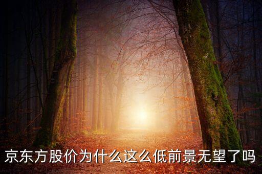 京東方股價(jià)為什么低，京東方股價(jià)為什么這么低前景無望了嗎