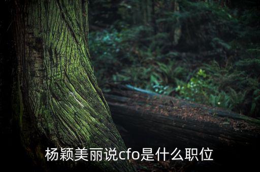 美麗說cfo是什么意思，楊穎成為美麗說的cfo是什么意思
