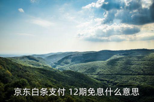 京東的白條分期免息什么意思，商家開通白條分期免息怎么理解