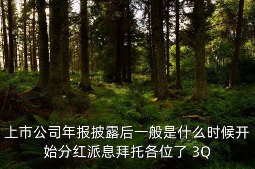 上市公司年報披露后一般是什么時候開始分紅派息拜托各位了 3Q