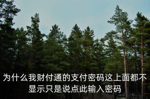 為什么有的有財(cái)通密碼有的沒有，我用手機(jī)在網(wǎng)上開通的財(cái)通證劵有帳號 怎么沒有密碼啊