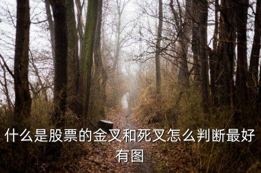 什么是股票金釵死叉圖解，什么是股票的金叉和死叉怎么判斷最好有圖
