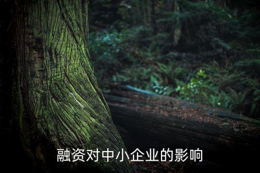 股票融資對小微企業(yè)有什么影響，私募股權(quán)融資對中小企業(yè)有什么影響