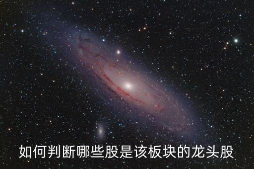 什么樣的股票才是版塊龍頭股，如何判斷哪些股是該板塊的龍頭股