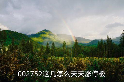 002752什么時(shí)候上市，002752這幾怎么天天漲停板