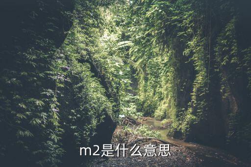 中國m2是什么，m2是什么意思