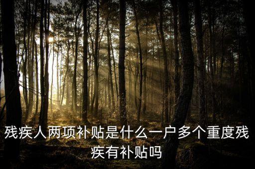 什么是殘疾人兩項(xiàng)補(bǔ)貼，殘疾人兩項(xiàng)補(bǔ)貼是什么一戶多個(gè)重度殘疾有補(bǔ)貼嗎