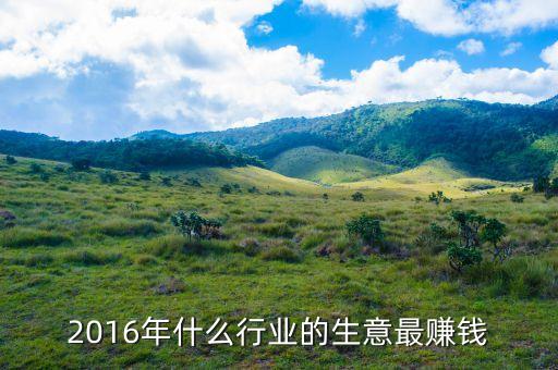2016什么行業(yè)好做又掙錢，2016年什么行業(yè)的生意最賺錢