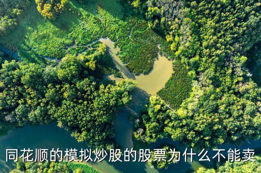 財達同花順股票為什么不能買賣，同花順的模擬炒股的股票為什么不能賣