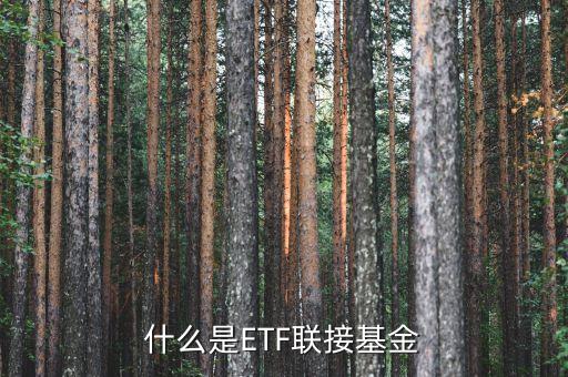 什么是ETF聯(lián)接基金