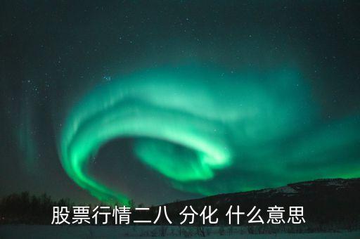 股票行情二八 分化 什么意思