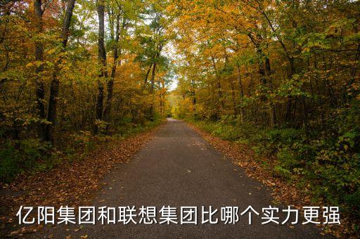 億陽集團的發(fā)展戰(zhàn)略是什么，億陽集團和聯(lián)想集團比哪個實力更強