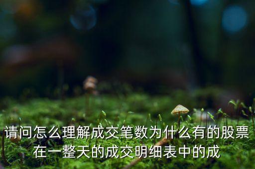 請問怎么理解成交筆數(shù)為什么有的股票在一整天的成交明細(xì)表中的成