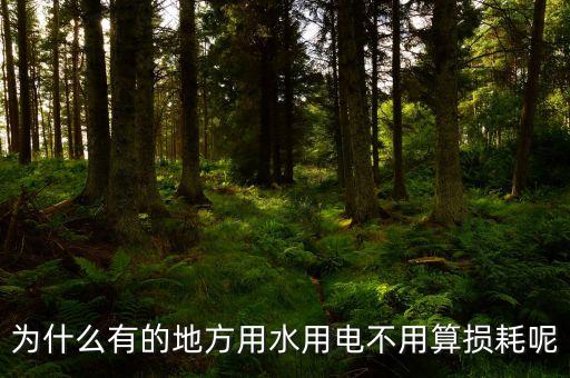 中國(guó)城市用電為什么不存在損耗收費(fèi)，為什么有的地方用水用電不用算損耗呢