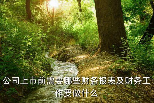 基金子公司年度報告,關(guān)于基金年度報告以下表述錯誤的是