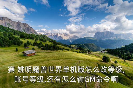 賽 姚明魔獸世界單機(jī)版怎么改等級(jí),賬號(hào)等級(jí),還有怎么輸GM命令啊