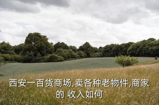西安一百貨商場,賣各種老物件,商家的 收入如何
