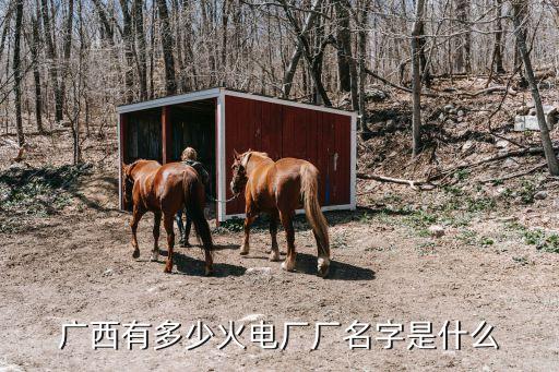 廣西有多少火電廠廠名字是什么