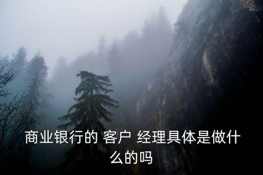  商業(yè)銀行的 客戶(hù) 經(jīng)理具體是做什么的嗎